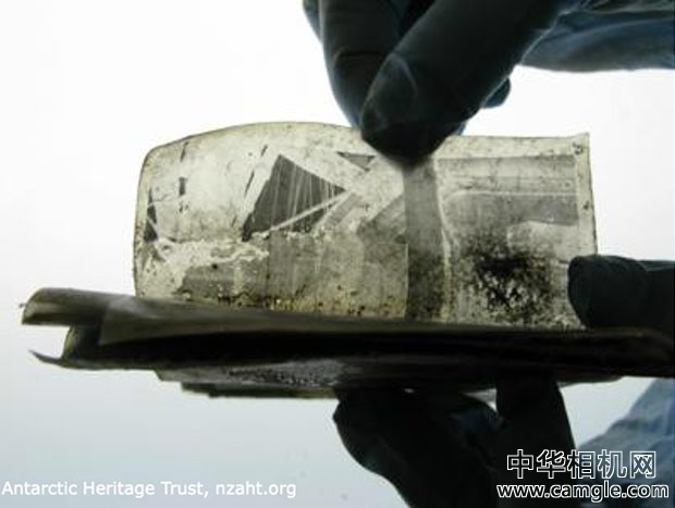 南极发现100年前的负片 并修复成功