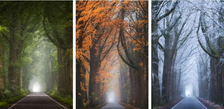 摄影师在不同季节及不同时刻捕捉同一地方的美