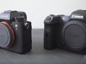 索尼A1相机VS佳能EOS R5相机：哪款才是拍摄视频的最佳之选？