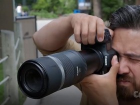 适用于初级野生动物摄影的佳能RF 600mm F11 IS STM镜头