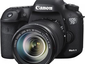 佳能可换镜数码相机市场份额连续12年全球第一