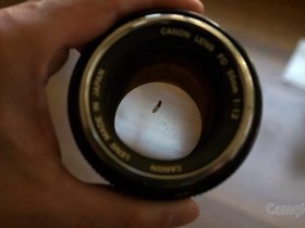 如使用藏有虫子的镜头会拍摄出怎样的图像？